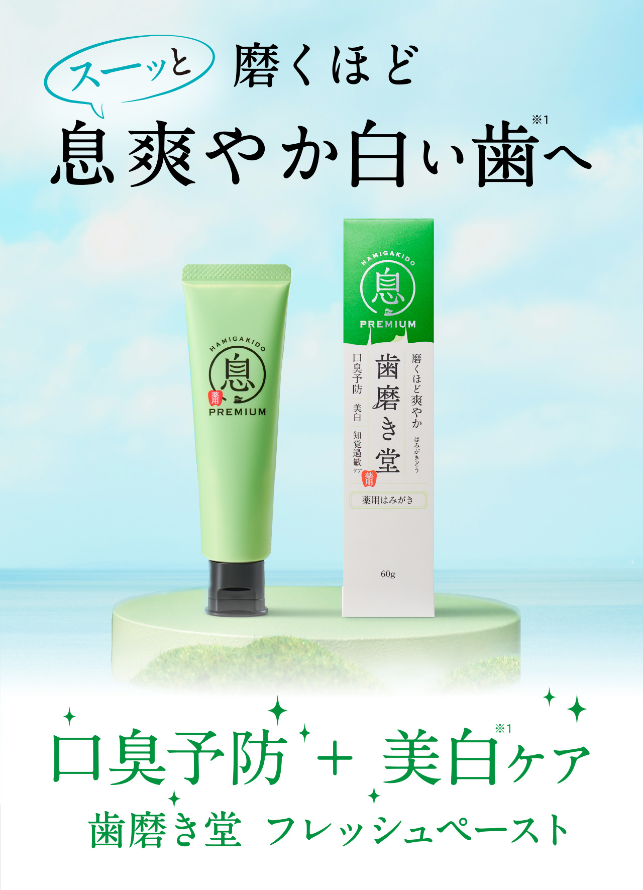 歯に貼って本格ケア ツヤのある白さへ 歯磨き堂 ホワイトシート