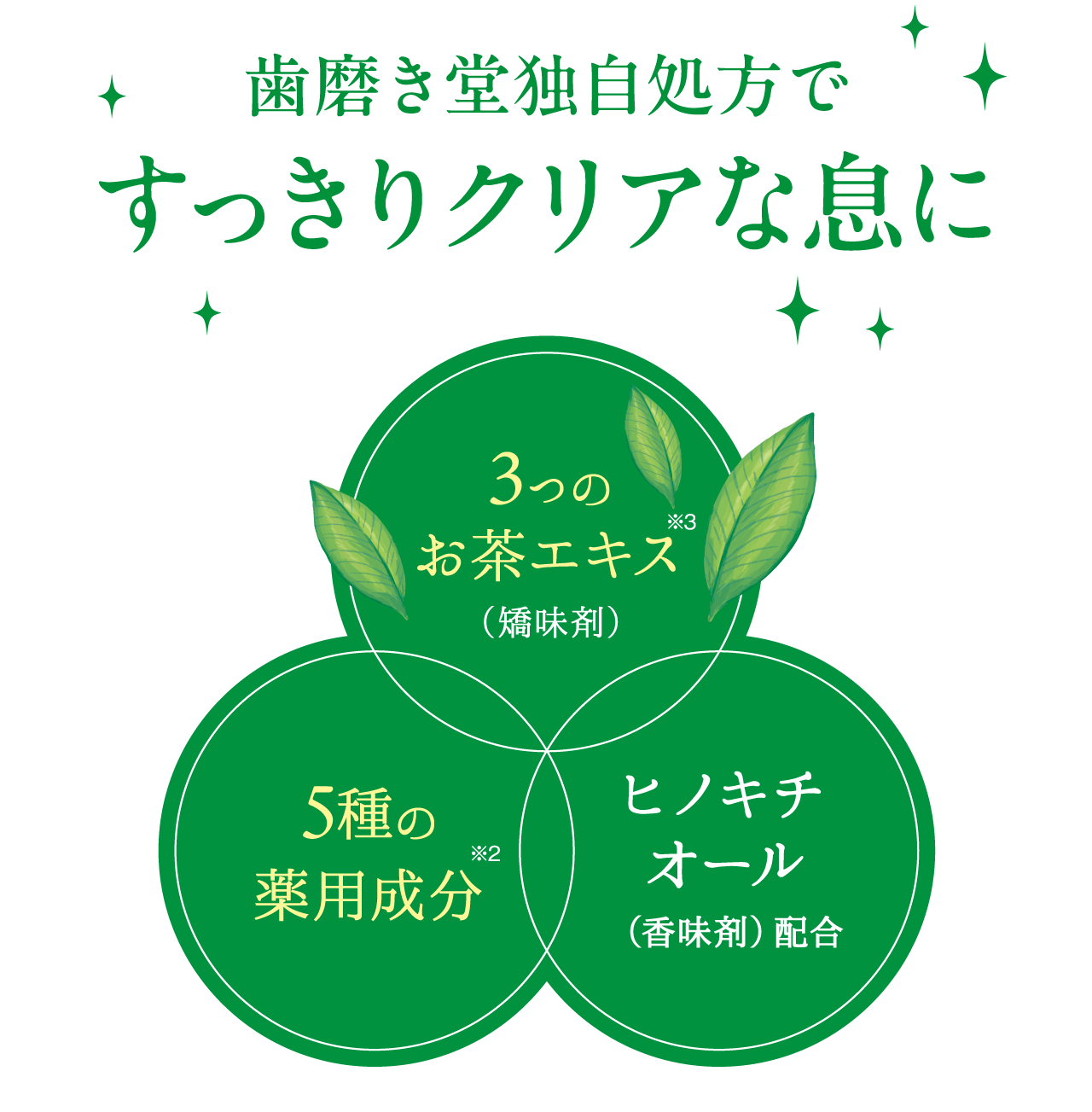 シリーズ使いでもっとHAPPY髪に